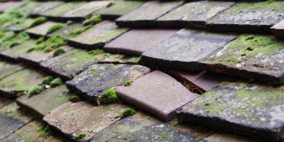 Reading roof repair costs